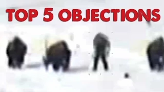 Bigfoot vs Buffalo: Top 5 Objections (ThinkerThunker)