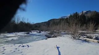 Tracks in the Snow ( SASQUATCH)