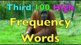 NEW Third 100 High Frequency Words (Short Version) WHOLE BRAIN Teaching Strategy