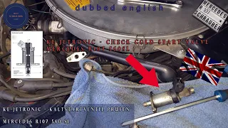 Check cold start valve