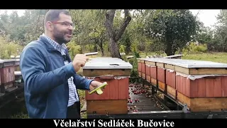 161/22 Včelaření v úlu Velkopolském Pioter Oleszczuk