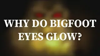 How Do Bigfoot Eyes Glow?