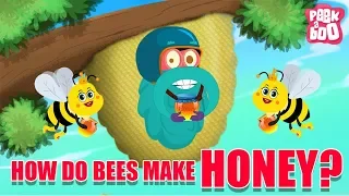 How Do Bees Make Honey? - The Dr. Binocs Show | Best Learning Videos For Kids | Peekaboo Kidz