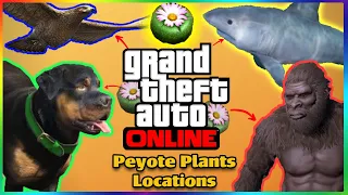 All 76 Peyote Plants Locations for GTA Online - Play as Different Animals!