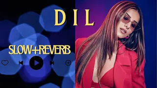 Dil (Slowed+Reverb) | Tera Naam Dil Rakh Diya | Raghav Chaitanya | Ek Villain Returns | LSP Music