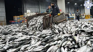 Large-scale food making in korean food factory