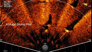 GARMIN LIVESCOPE PERSPECTIVE MODE: What Am I Seeing Episode 6!!! A Huge Stump Flat