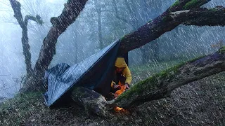 Survival Camping: Conquering the Fog and Rain in Deep Forest