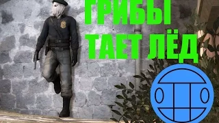 Грибы - Тает Лёд (Пародия CS:GO)