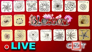 How to draw tangles -  Blossom - Organic - Draw with CZT - Tangle Marathon - Day #1