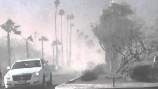 Windy day in palmsprings