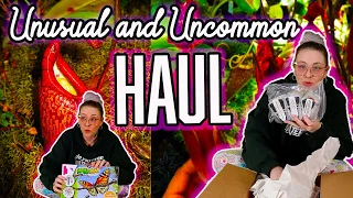 Uncommon Houseplant Unboxing from Ecuagenera & Red Leaf Exotics