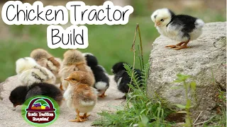 Chicken Tractor build time-lapse || Episode 14