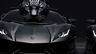 2024 Lamborghini Revuelto - New Supercar in Beautiful Details|AutoCarsMaster2024