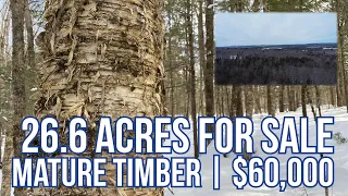 26.6± Acres For Sale | Maine Real Estate SOLD