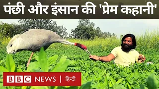 Man and Bird Love : Saras पक्षी और एक शख़्स के बीच प्यार दोस्ती की कहानी (BBC Hindi)