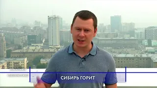 Пол России в дыму: сибирские пожары уничтожают миллионы гектаров леса