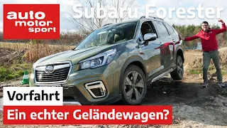 Subaru Forester e-Boxer (2020): Echter Geländekraxler? – Fahrbericht/Review | auto motor und sport