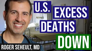 US Excess Mortality Down