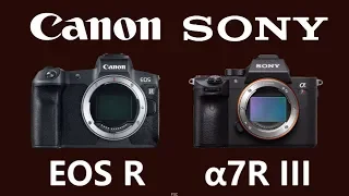 Canon EOS R vs Sony a7R III