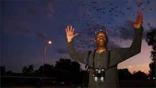 Kakadu National Park, Northern Territory, Australia with David Lindo