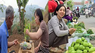 Bumper Chayote Season: Buy Three Egg-Laying Chickens - Live Happily With Your Grandfather