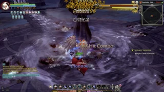 Dragonnest Crusader solo ddl hc