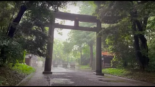 Walking in the Rain in Tokyo: Yoyogi Park & Meiji Jingu - Rain Walk, Heavy Rain, White Noise, ASMR