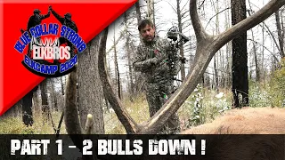 2020 NEW MEXICO ELK HUNT, TWO BULLS DOWN - BLUE COLLAR STRONG - Part 1 'The Mafia Boys'