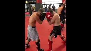 Petr Yan Sparring Hard