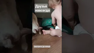 дети #cat #прикол#кошка Жаклин