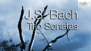 J.S. Bach: Trio Sonatas