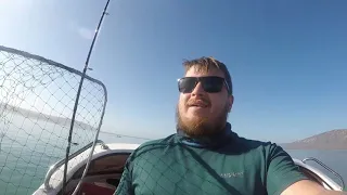 Targeting small species, Langebaan light tackle ( west coast , South Africa)