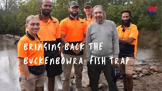 Bringing back the  Buckenbowra fish traps