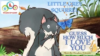 Guess How Much I Love You: Compilation - Little Grey Squirrel