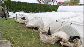 Finally, A Better Poly Low Tunnel For Season Extension Success!