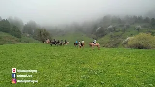 Uzbekistan horse Riding 2019