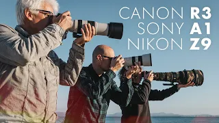 Canon R3 vs Nikon Z9 vs Sony A1, ¿hay una ganadora?