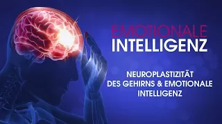 01. Neuroplastizität des Gehirns & emotionale Intelligenz - Dr. Neil Nedley