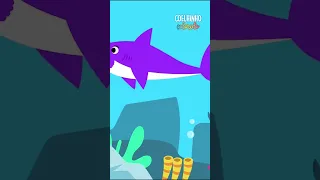 Shorts: Baby Shark (Bebê Tubarão) - Coelhinho Colorido