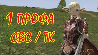 1-я профа на СВС/ТК. Path of the Elven Knight. Asterios x1