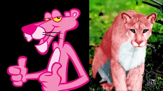 Pink Panther and Cartoon Characters IN REAL LIFE!   All Characters 2017 For Kids