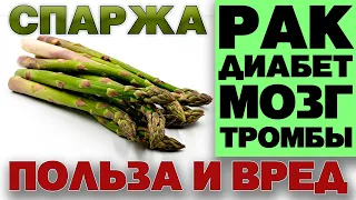 СПАРЖА - ПОЛЬЗА И ВРЕД (АСПАРАГУС ДЕЛИКАТЕС ДЛЯ АРИСТОКРАТОВ. ПРИЗНАННЫЙ АФРОДИЗИАК)