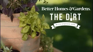 How to Grow Herbs in a Strawberry Planter | The Dirt | Better Homes & Gardens