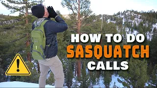 SASQUATCH Calls in the WILD! Tree Knocks and Howls.