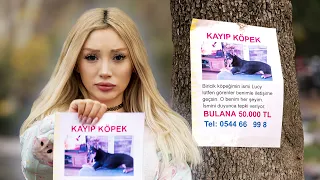 KAYIP KÖPEK İLANIYLA YALANCILARI TESPİT ETMEK!