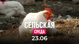 Сельская среда 23.06.2021