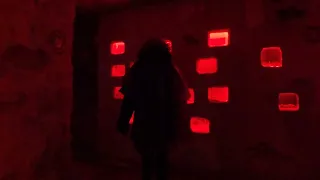 Pairi Daiza  - novembre 2022 - la crypte