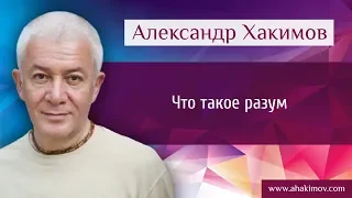 Что такое разум? - Александр Хакимов - Москва 6.12.2016