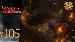 A really gruesome temple - Let's Play Divinity: Original Sin - Enhanced Edition #105
